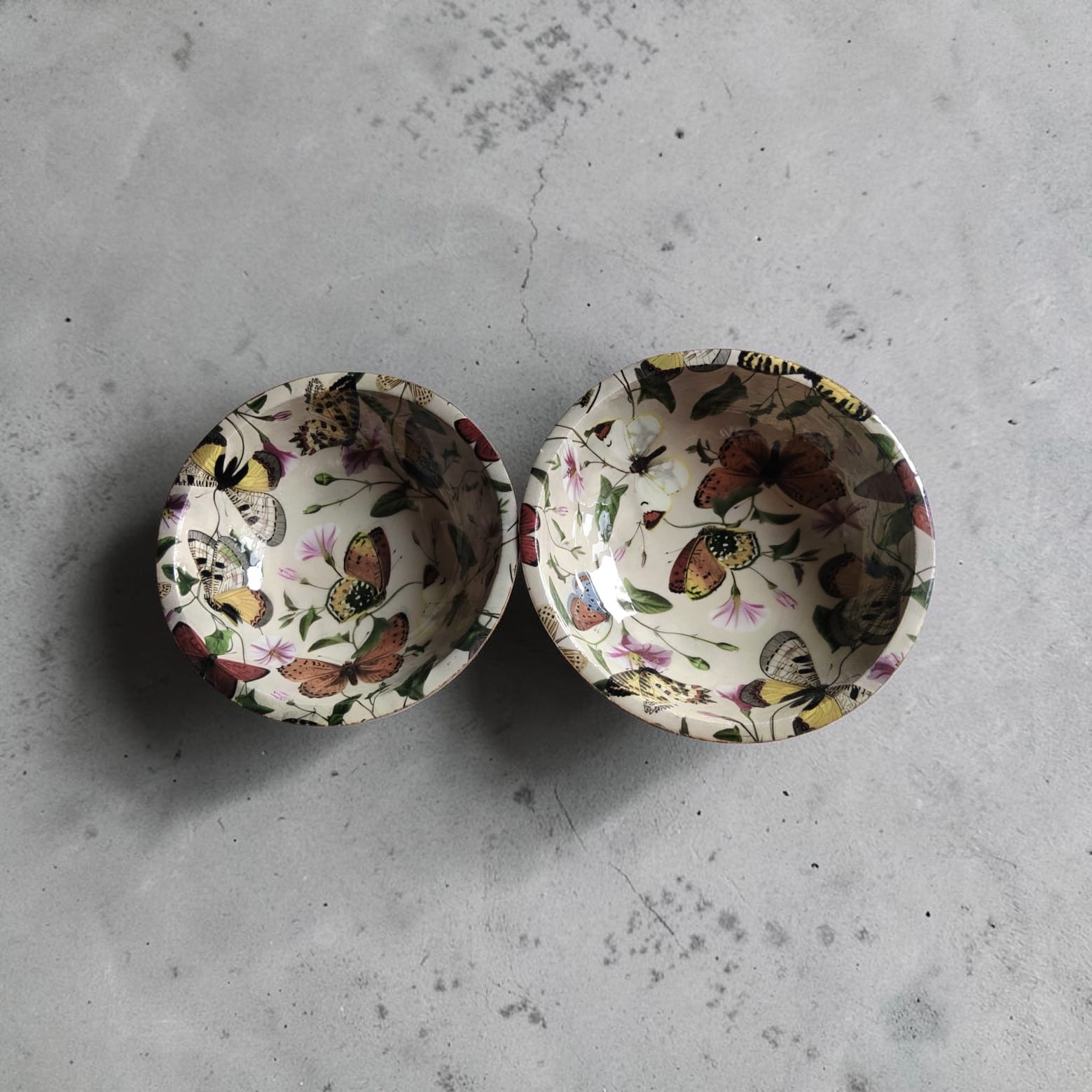 Butterfly Garden Enamel Bowls Combo Pack of 2 - Vintage Floral Print Serving Bowl Set